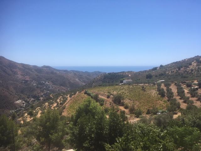 Sea View from the Terrace